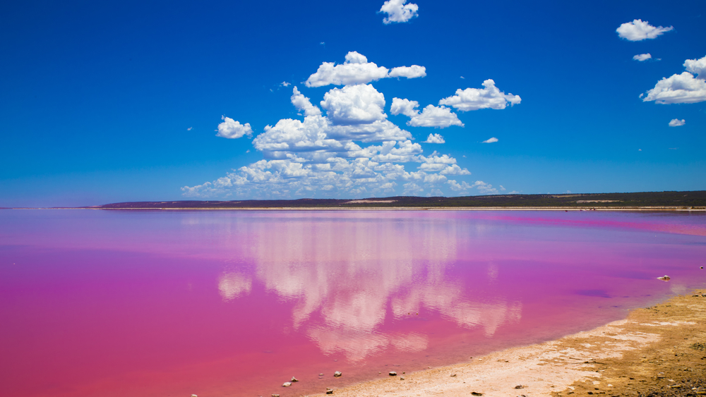 See in Melbourne hat sich knallpink eingefärbt