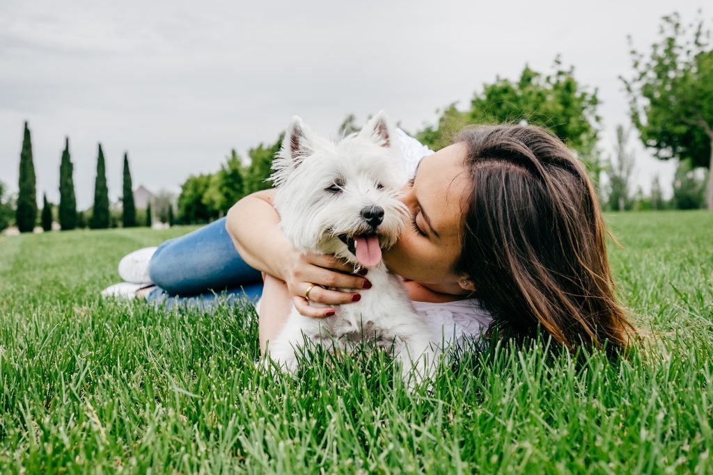 Studie Mehr als die Hälfte der Hundebesitzer küssen Hund mehr als Partner