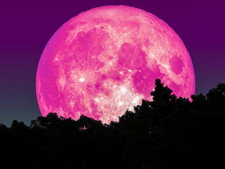 Hellster Supermond des Jahres Pinker Vollmond im April