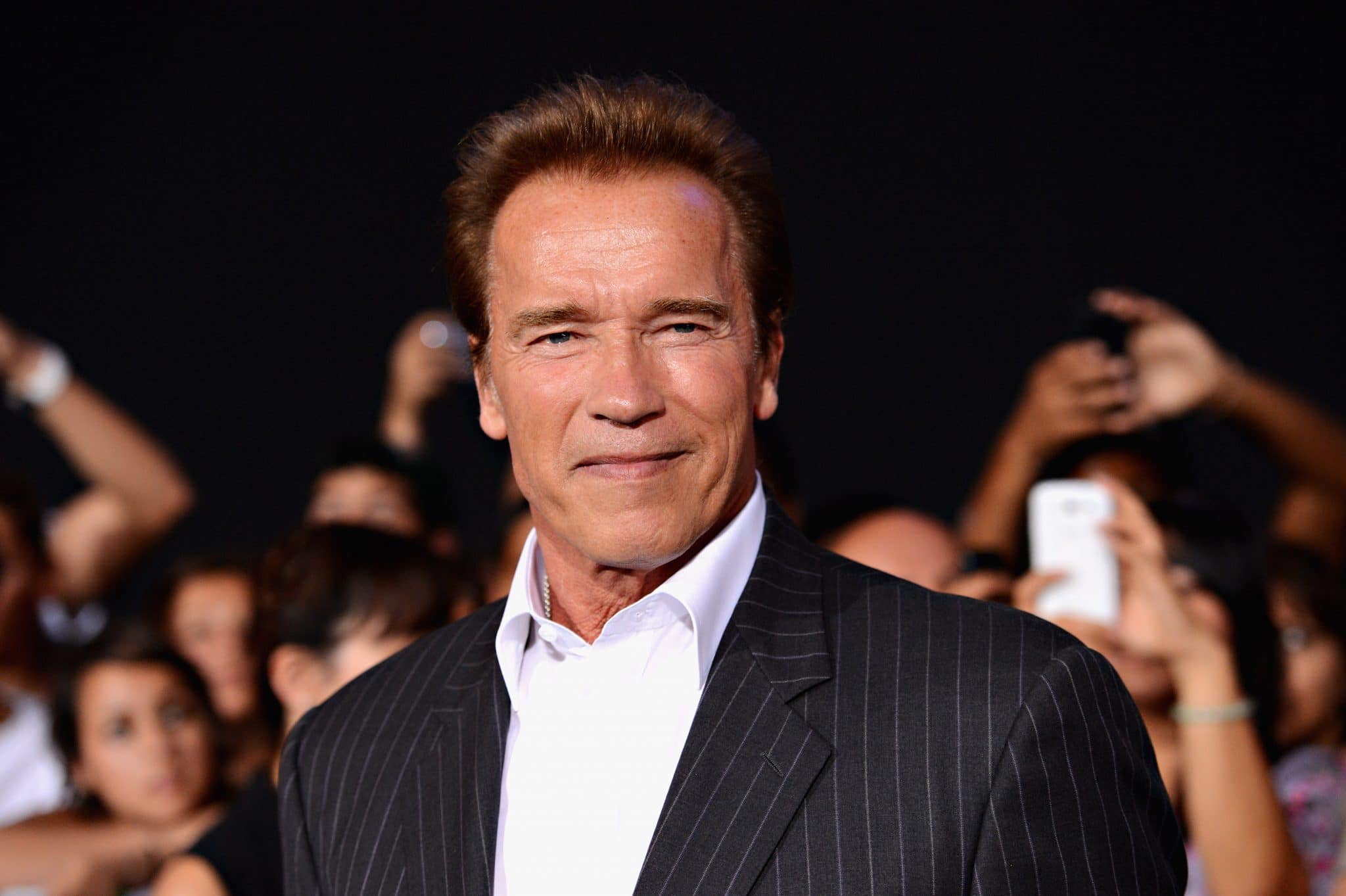 Arnold Schwarzenegger bekommt eigene Spionage-Serie auf ...