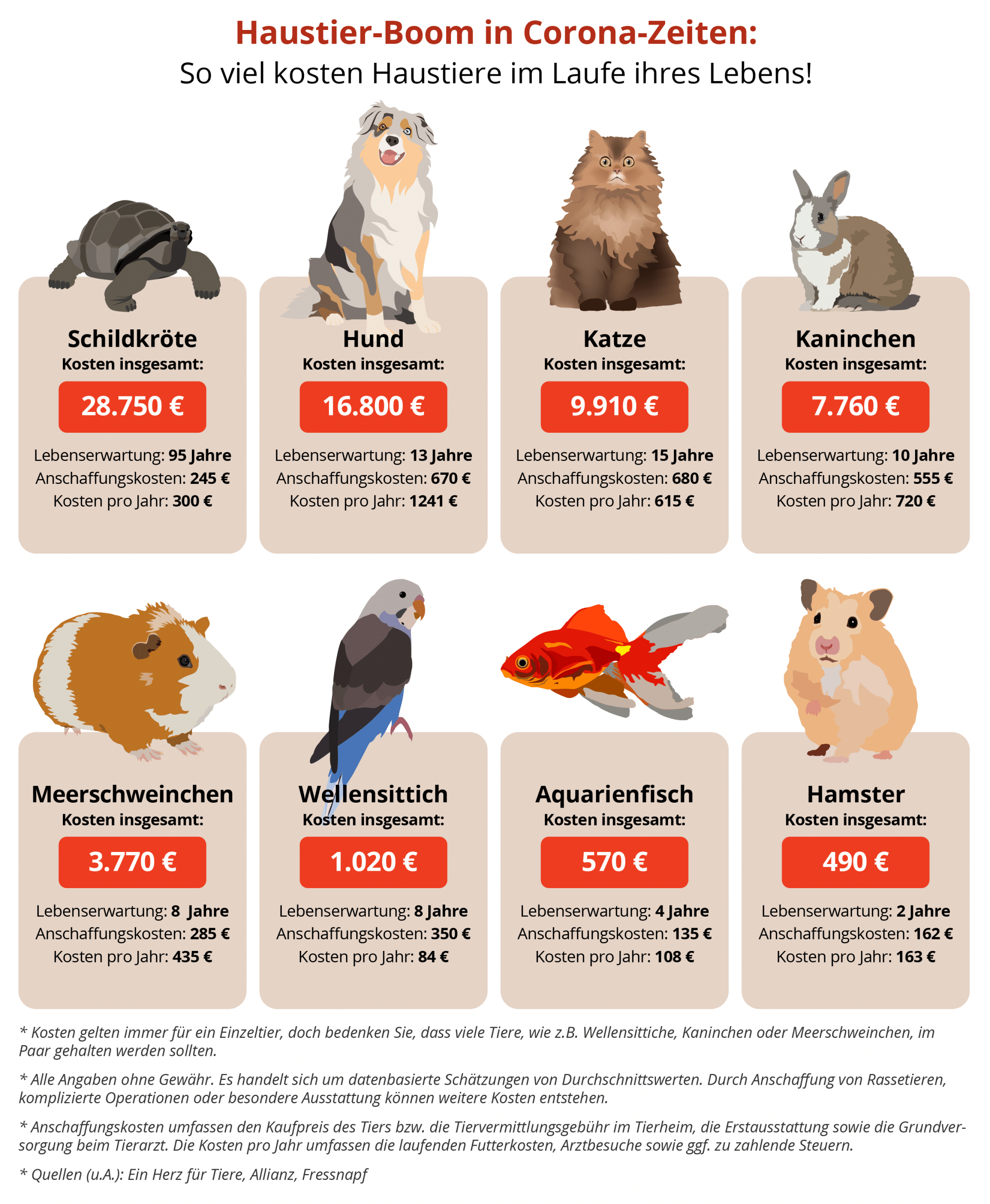 So viel kostet dich dein Haustier im Laufe des Lebens