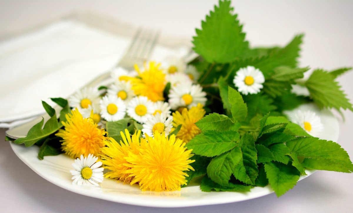 Wildkräutersalat mit gerösteten Pilzen Rezept