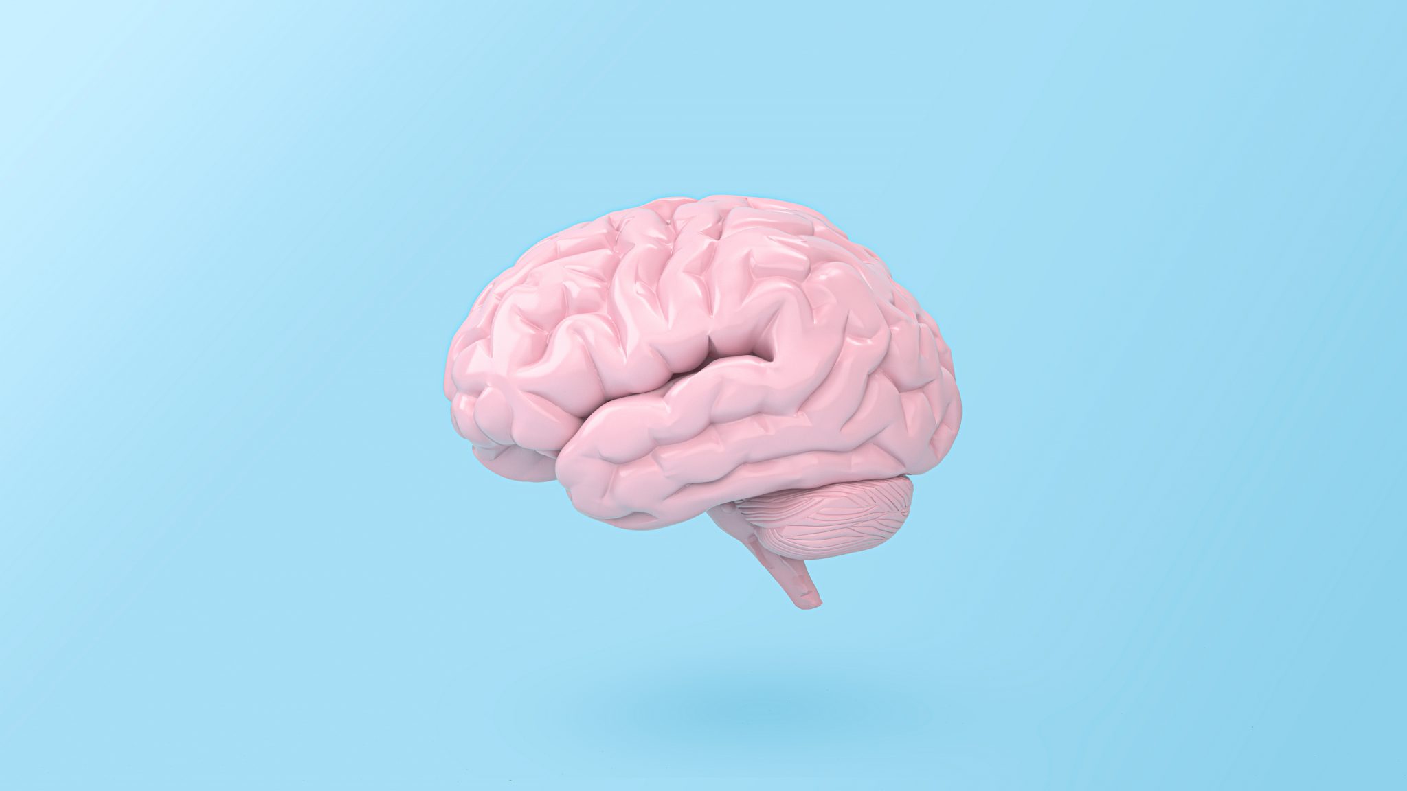 Bbcbrainwashing Tumblr